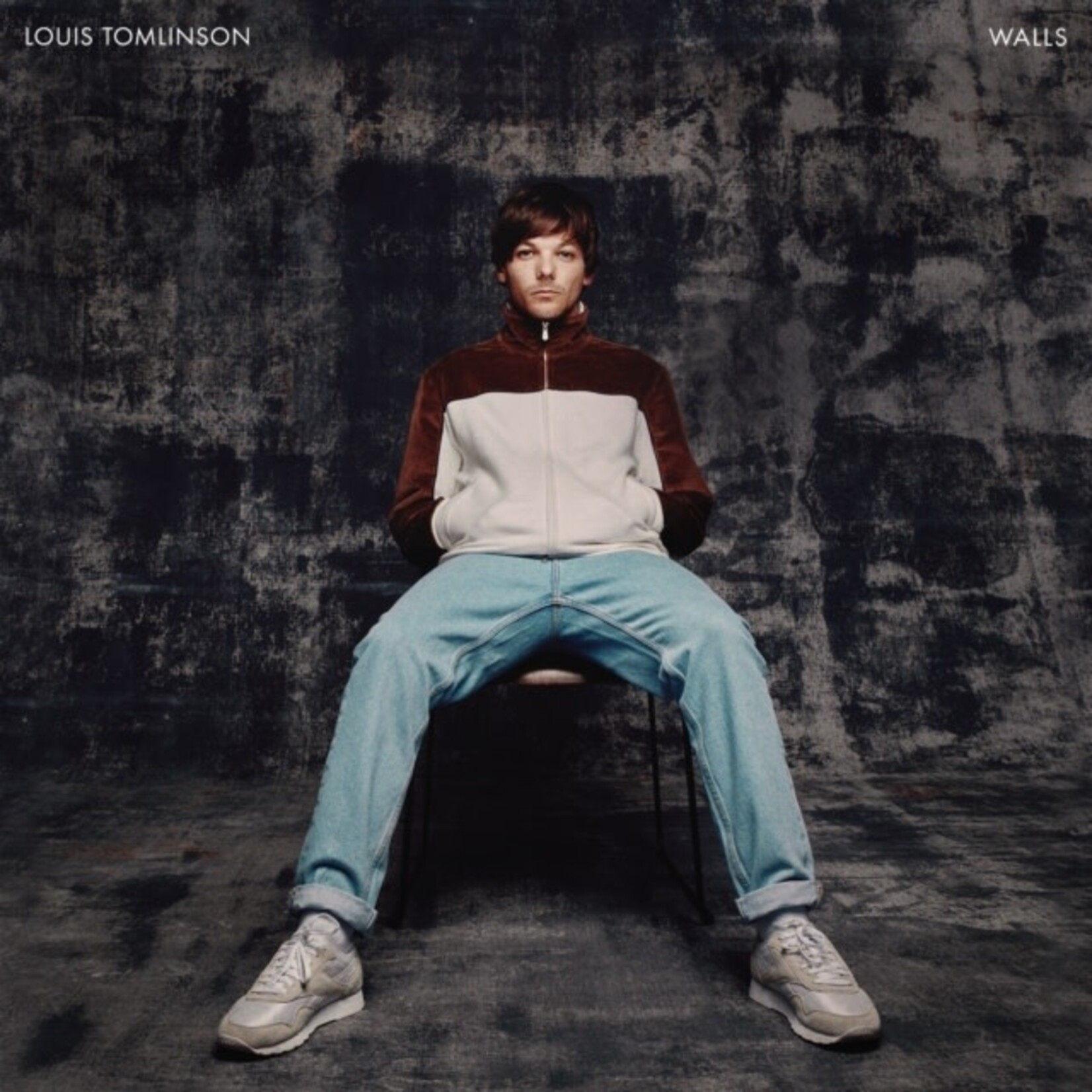 Arista Louis Tomlinson - Walls (LP)