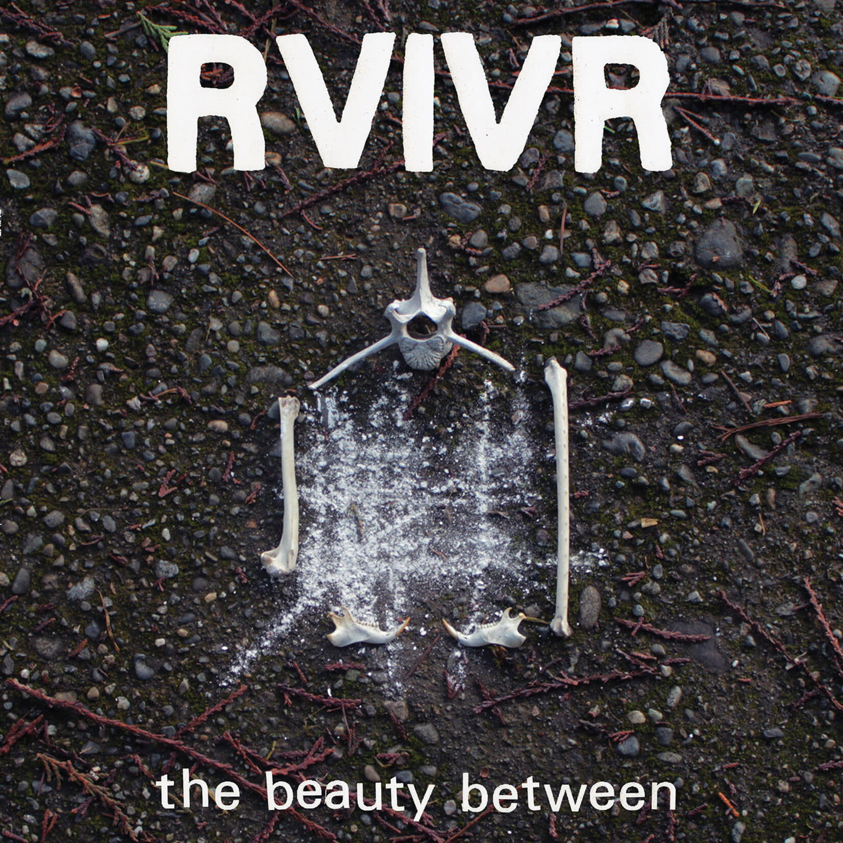 Don Giovanni PRE-ORDER 09/18/26 | RVIVR - The Beauty Between (LP) [Clear/Black]