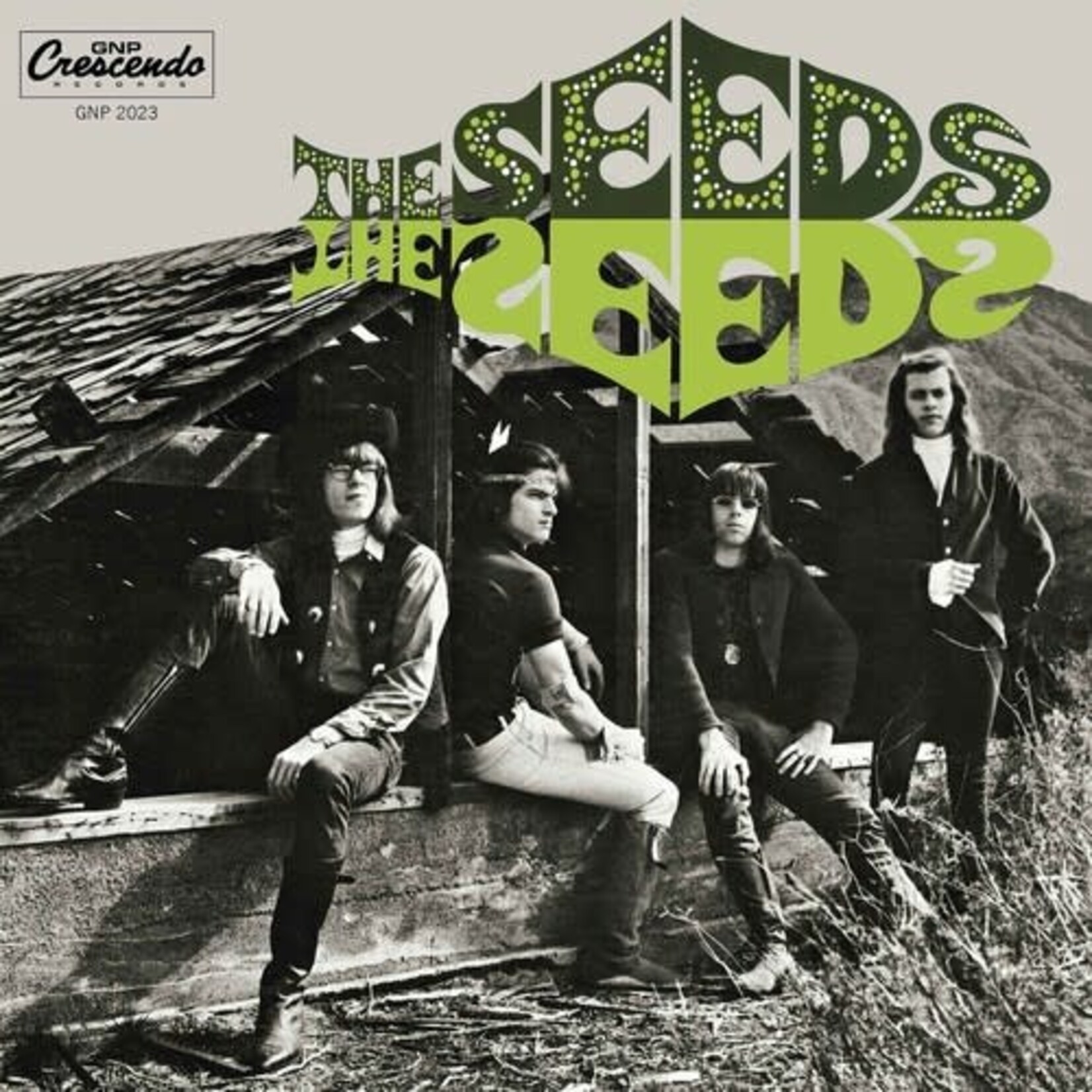 Seeds - The Seeds (LP)