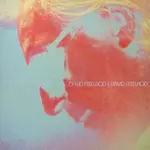 RSD Black Friday RSDBF26 | David Axelrod - David Axelrod (LP)