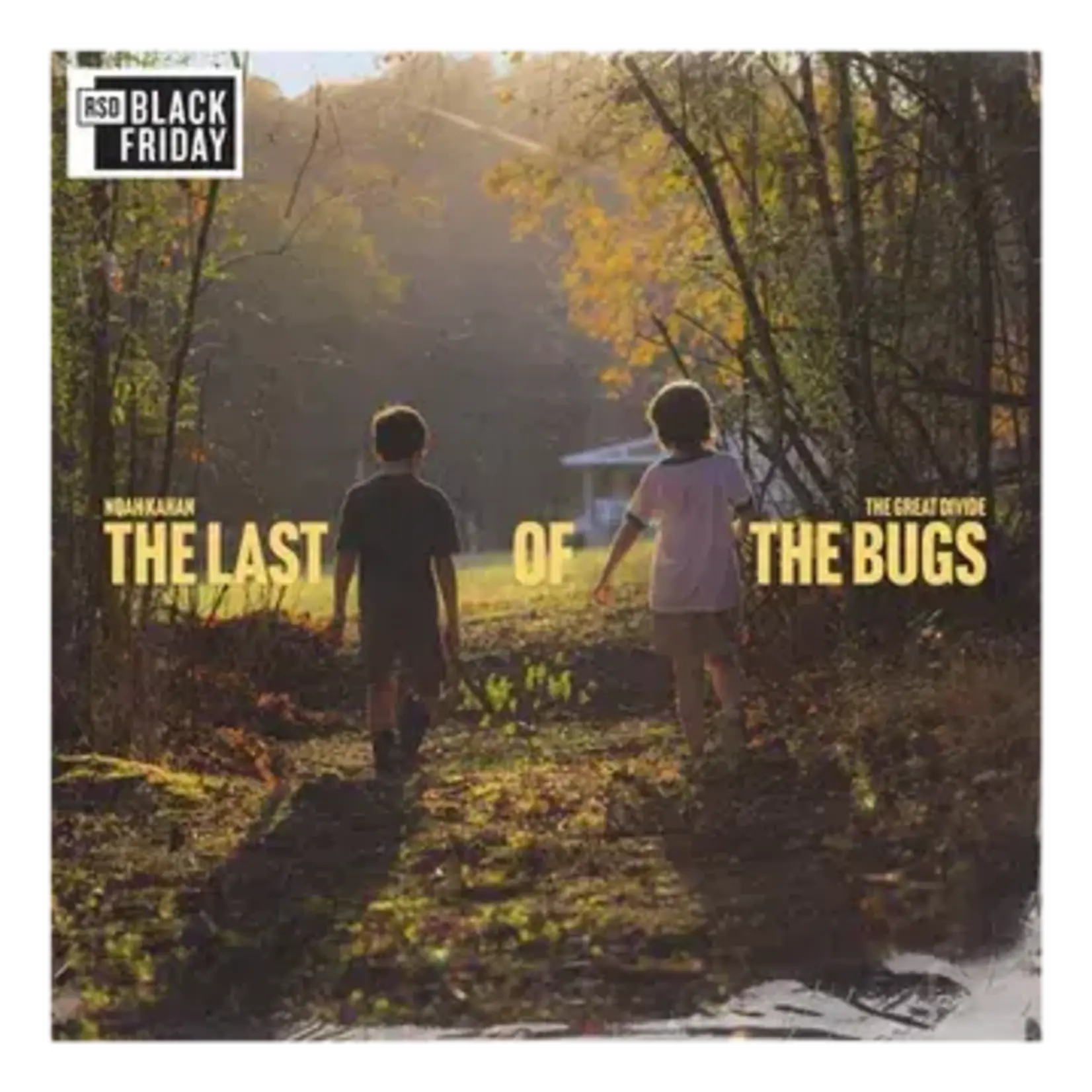 RSD Black Friday RSDBF26 | Noah Kahan - Great Divide: The Last Of The Bugs (LP) [Alpenglow]