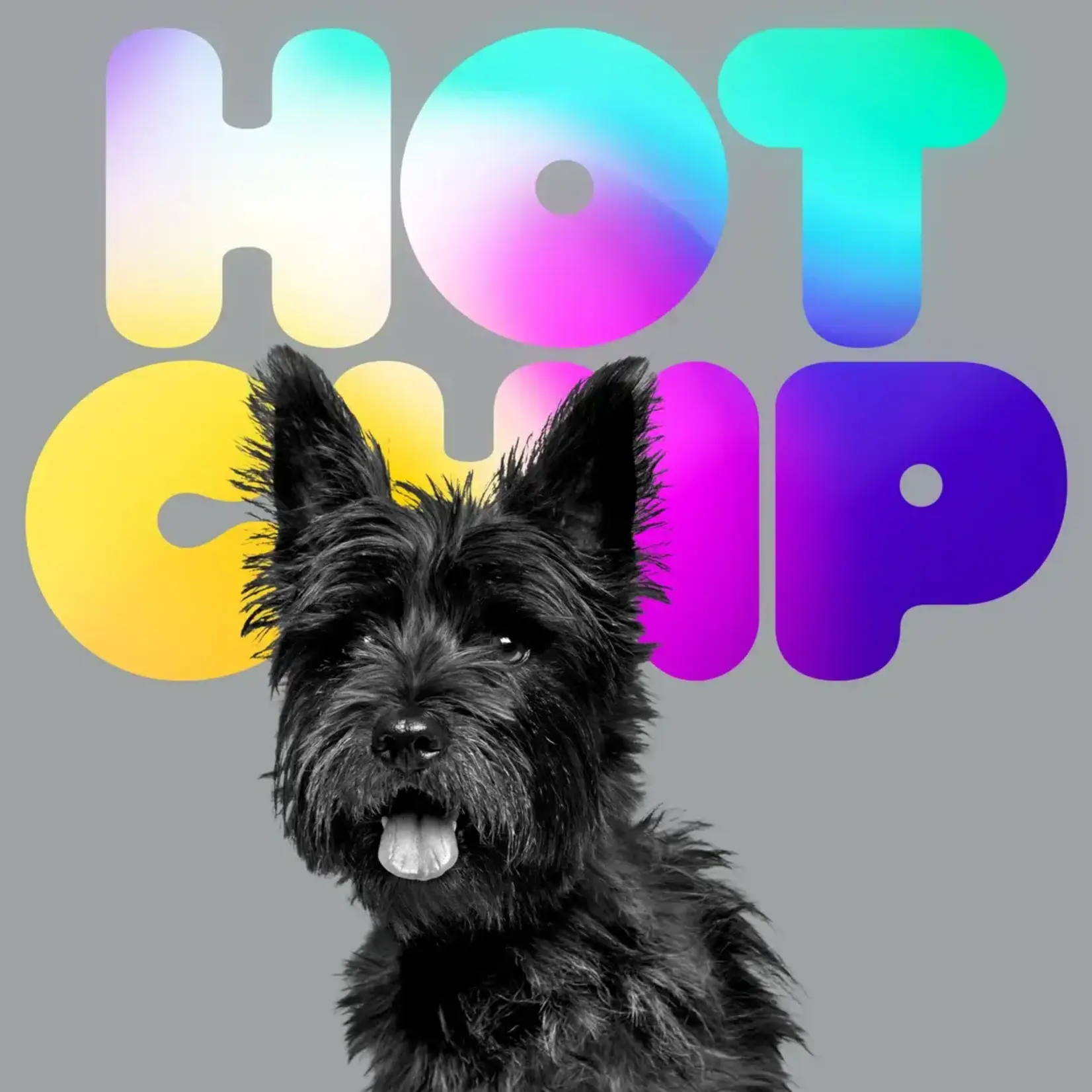 Domino PRE-ORDER 01/08/27 | Hot Chip - A Long Way From Kansas (2LP)