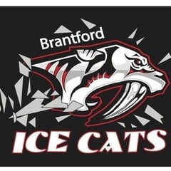 BRANTFORD ICE CATS