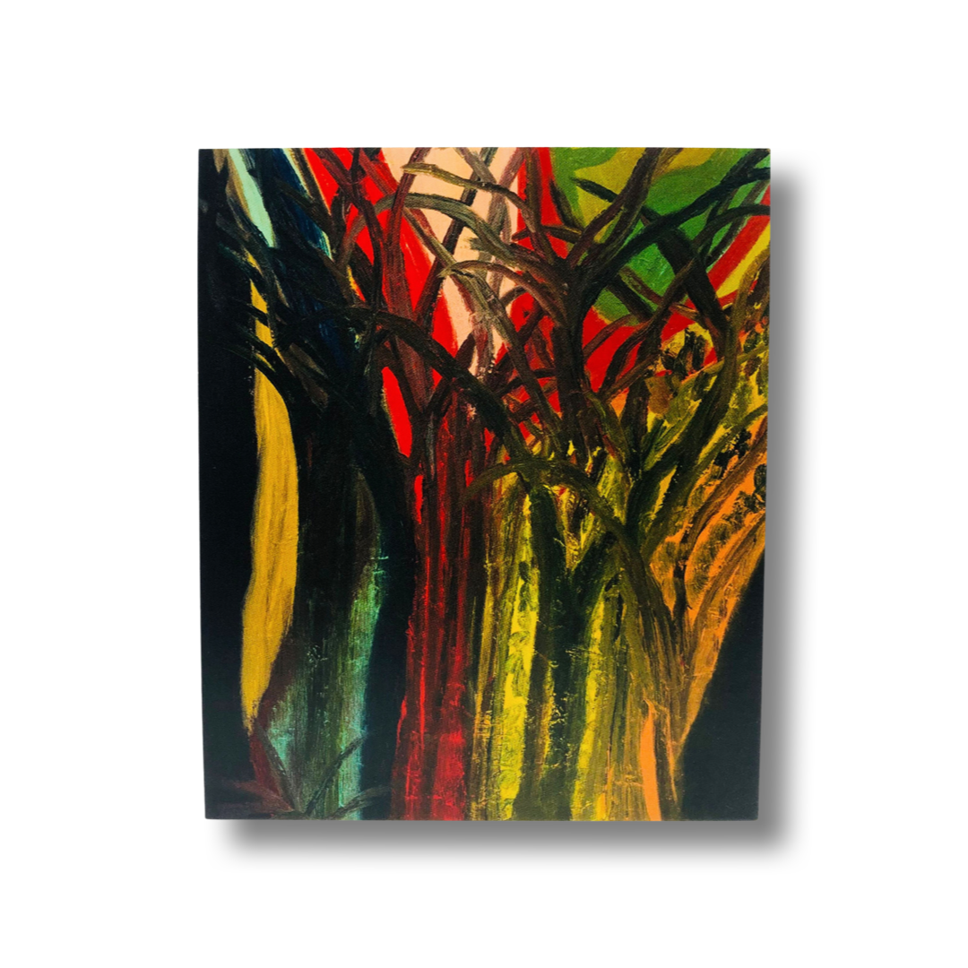 SANCTUARY Dallas Museum of Art