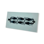 XRAY DOUBLE CRICKET BRACELET