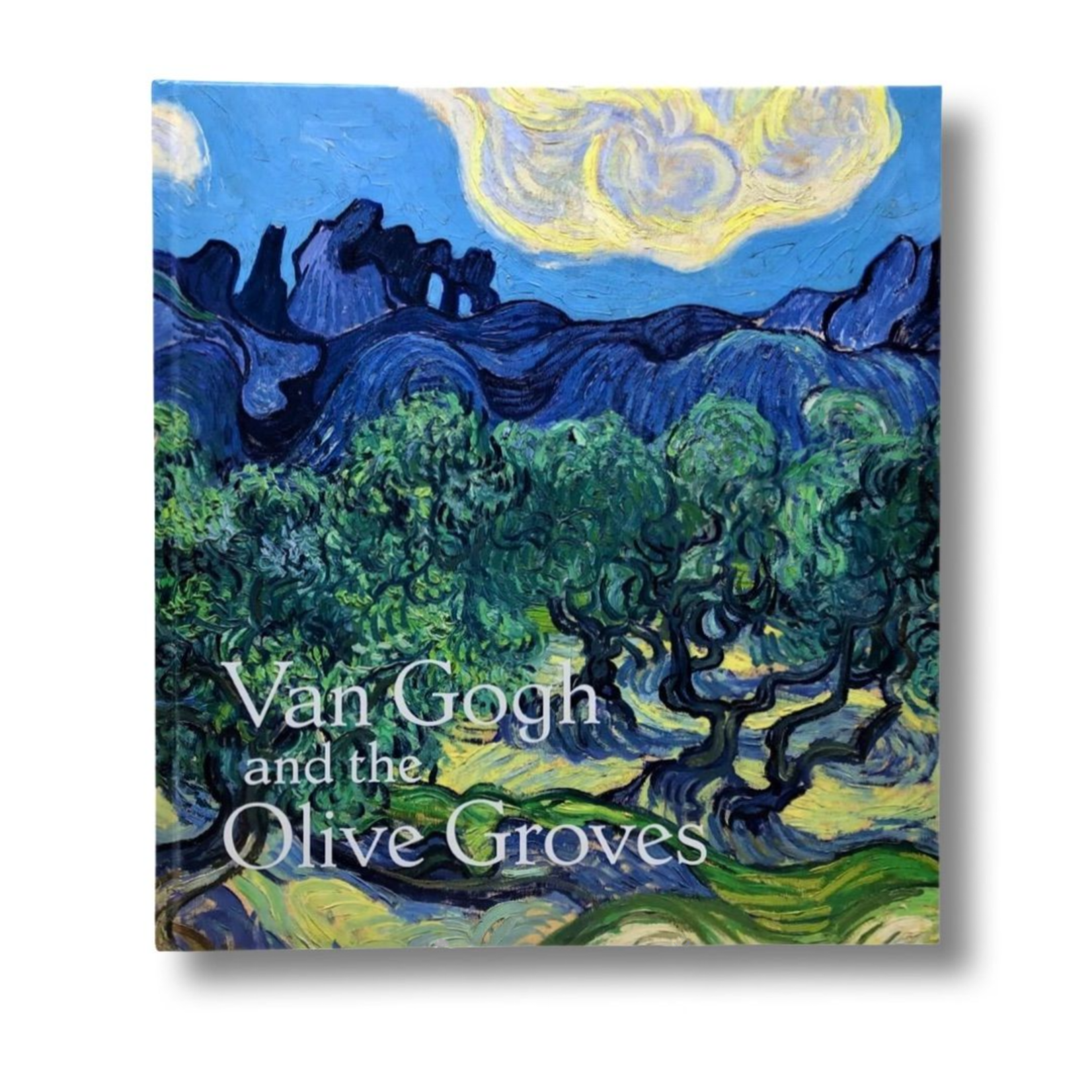 DMA PUBLICATIONS VAN GOGH AND THE OLIVE GROVES CATALOGUE