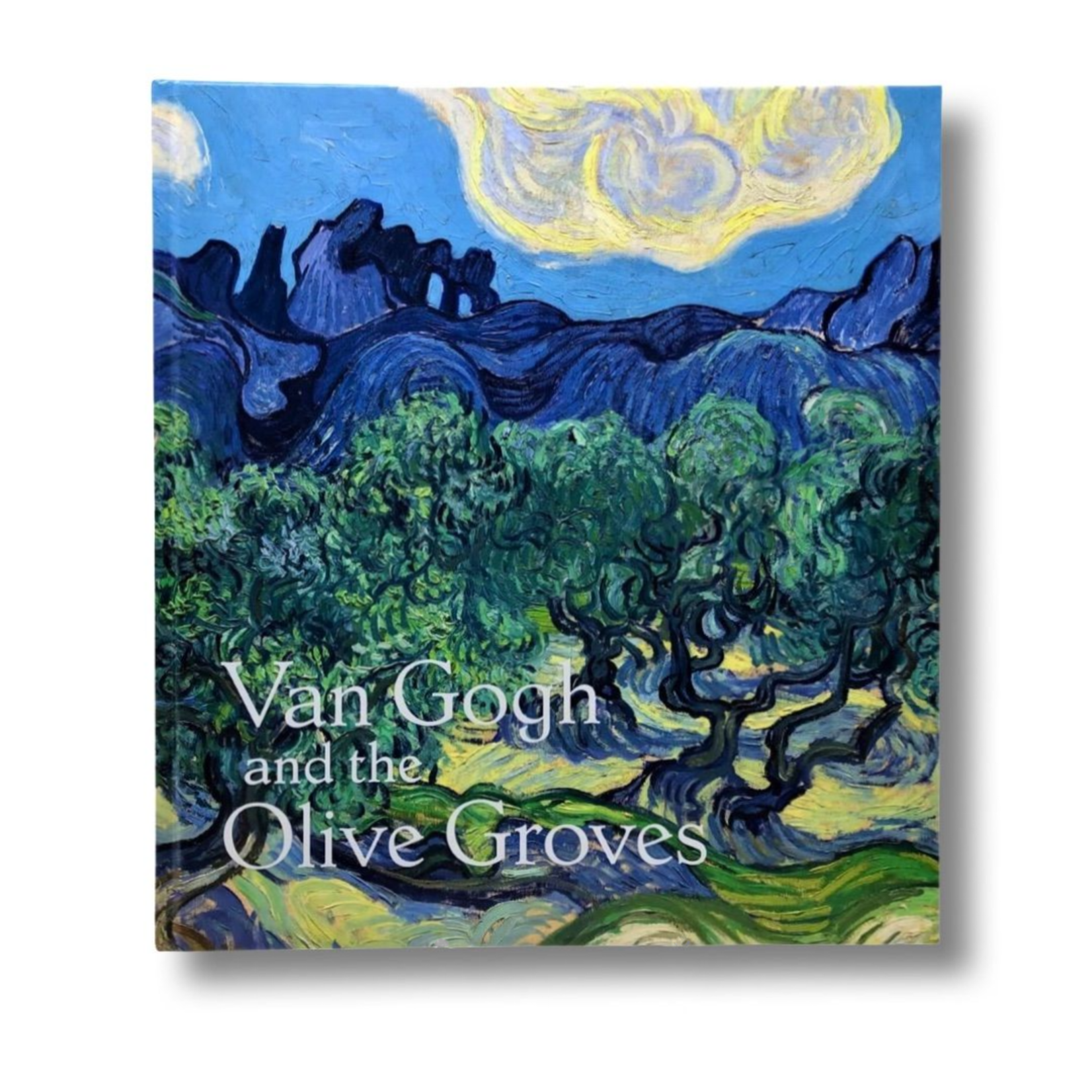VAN GOGH AND THE OLIVE GROVES CATALOGUE