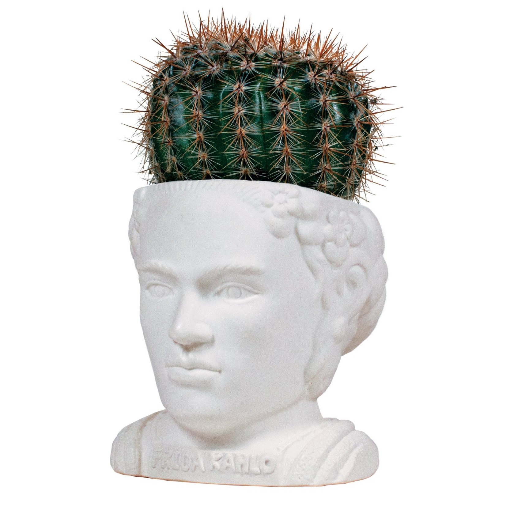 UNEMPLOYED PHILOSOPHERS GUILD FRIDA KHALO PLANTER