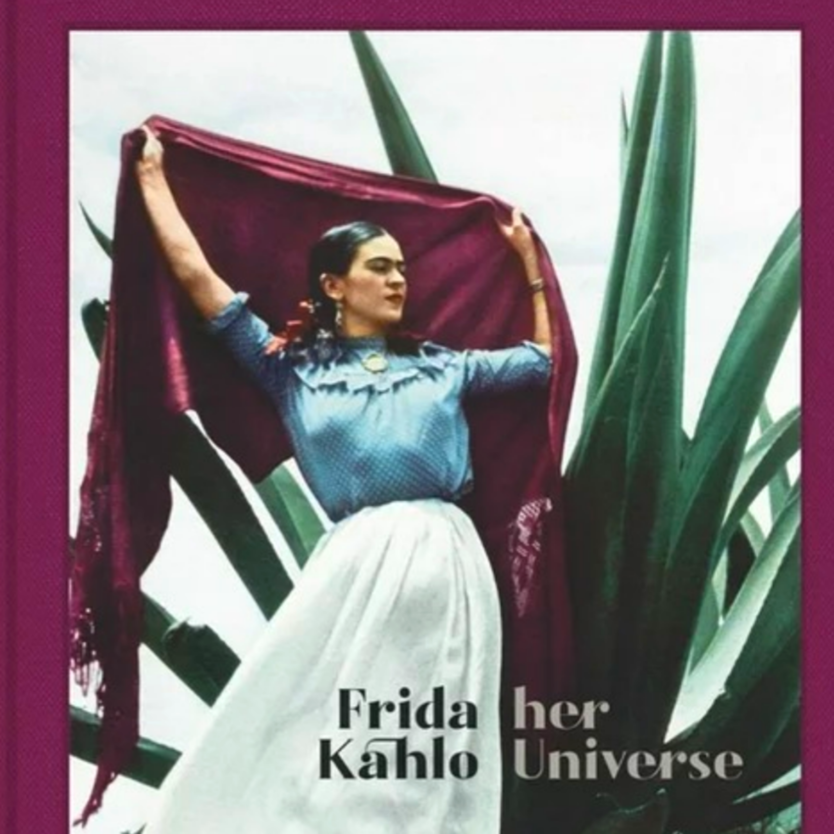 FRIDA KAHLO HER UNIVERSE