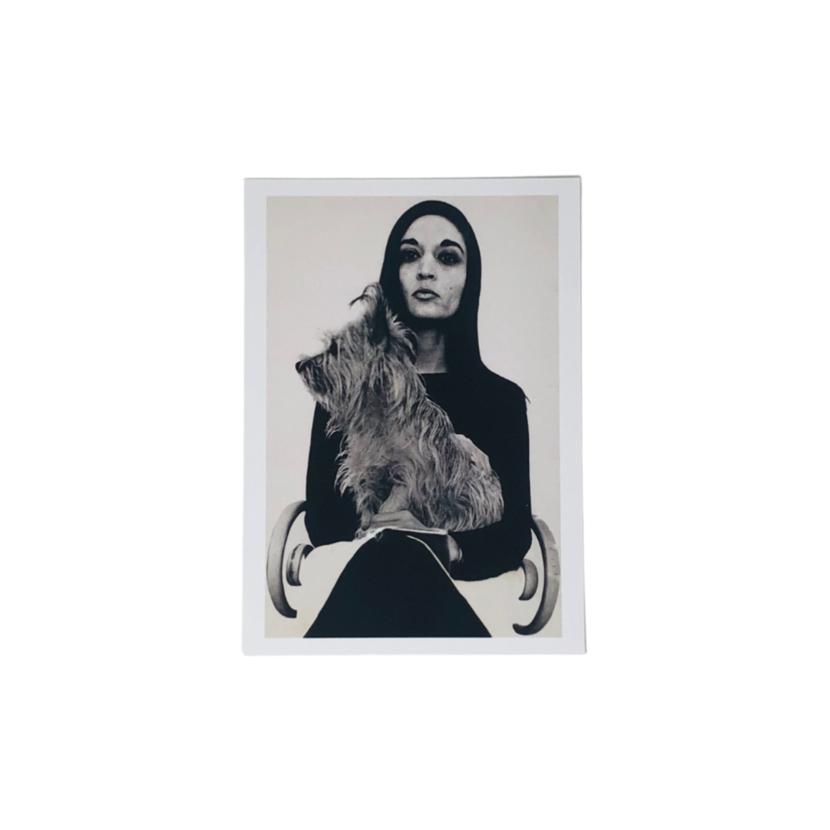 THOUSAND MUSEUMS MARISOL W DOG PC