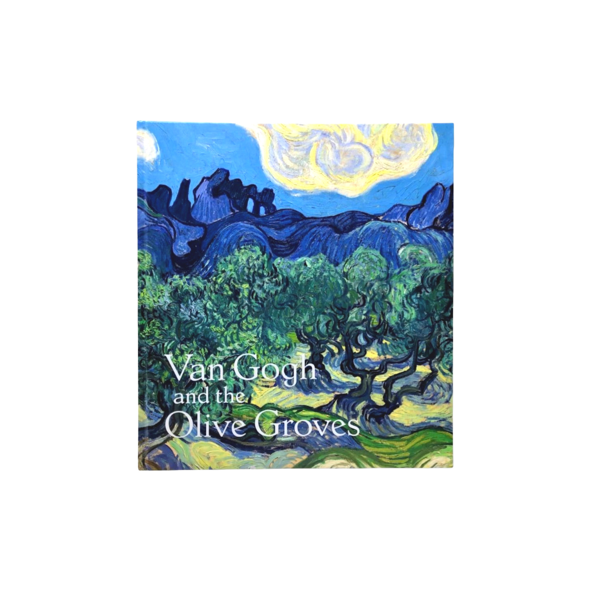 VANGOGH AND THE OLIVE GROVES - Dallas Museum of Art