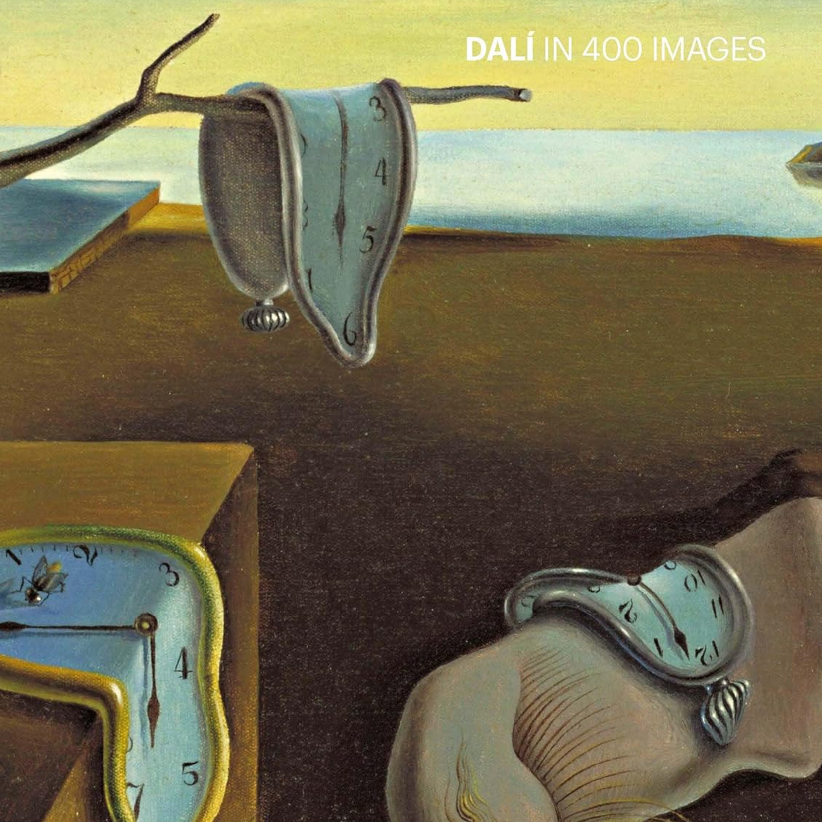 DALI IN 400 IMAGES