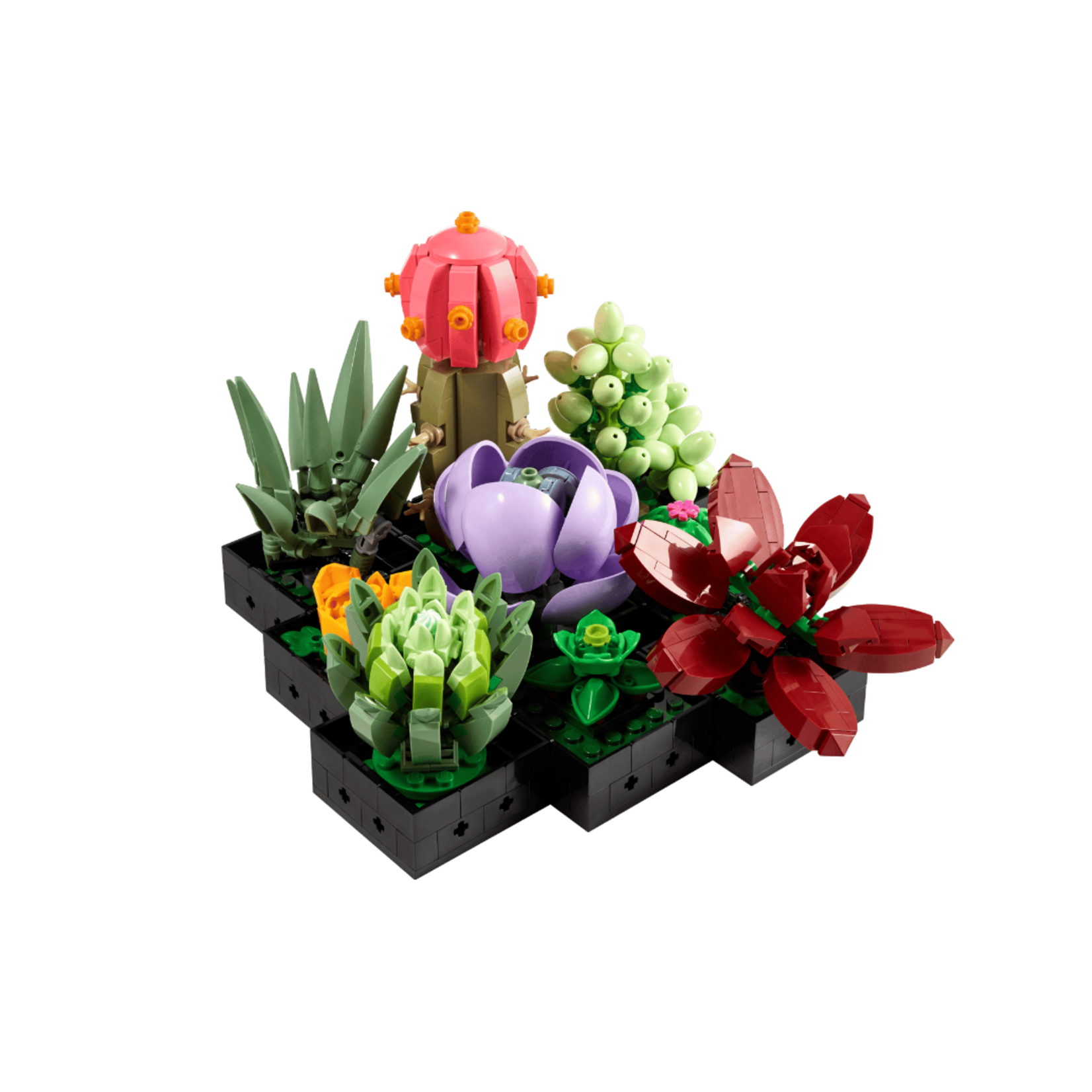 SUCCULENTS LEGO