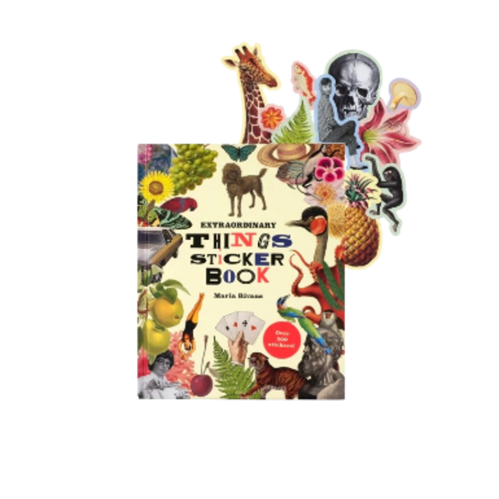 EXTRAORDINARY THINGS STICKER BOOK