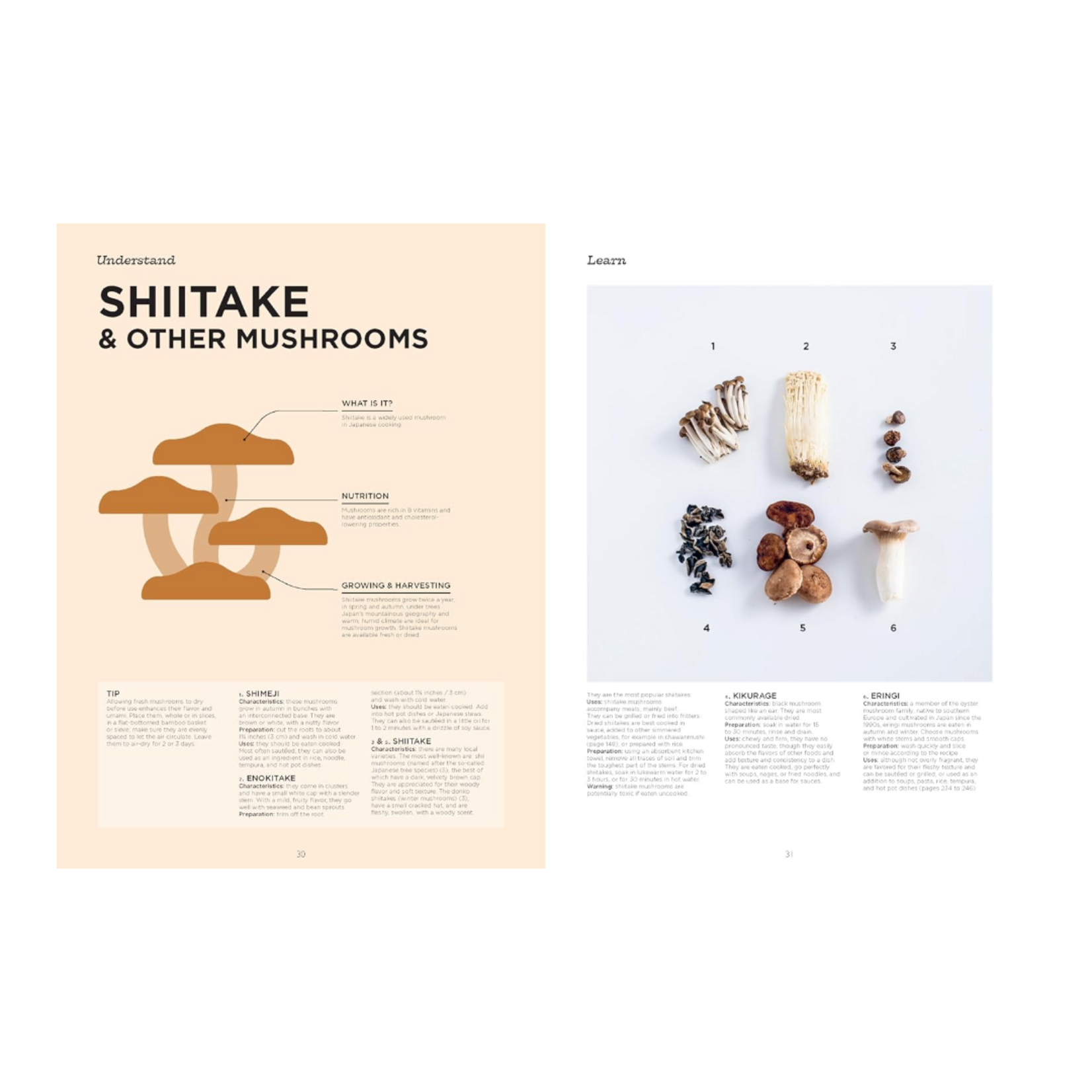 THE COMPLETE ILLUSTRATED GUIDE TO JAPANESE COOKING