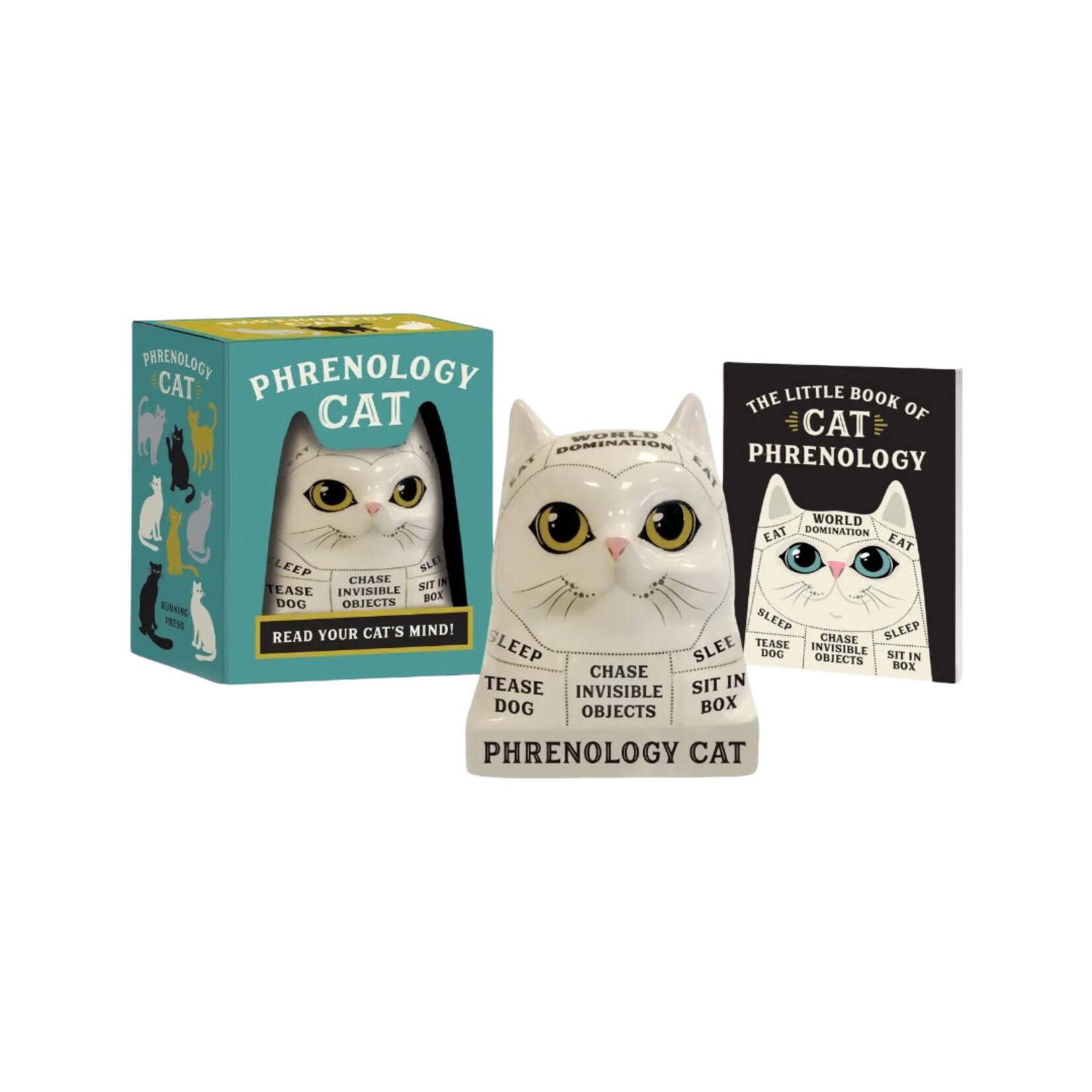 PHRENOLOGY CAT: READ YOUR CATS MIND