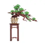 EVERGREEN PINE BONSAI 3D PUZZLE