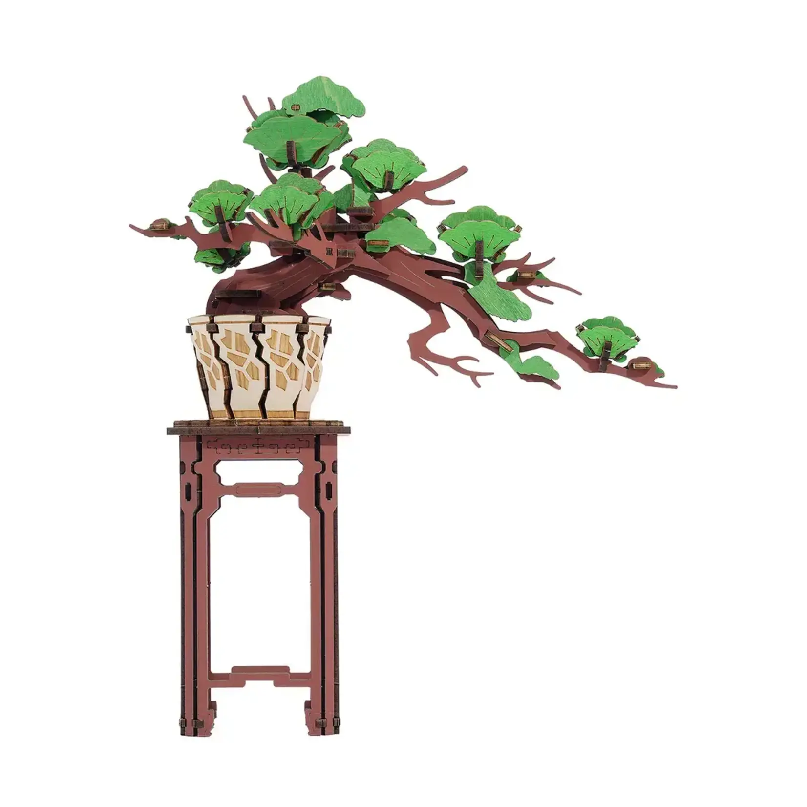 EVERGREEN PINE BONSAI 3D PUZZLE