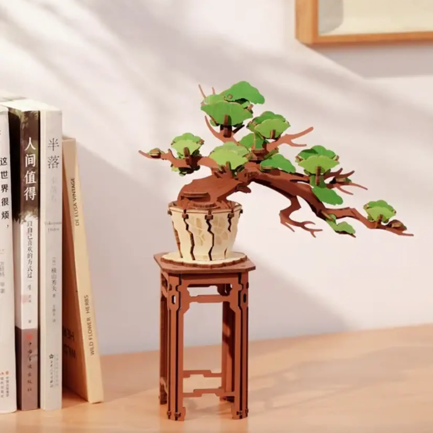 EVERGREEN PINE BONSAI 3D PUZZLE