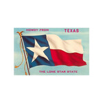 POSTCARD HOWDY FROM TEXAS