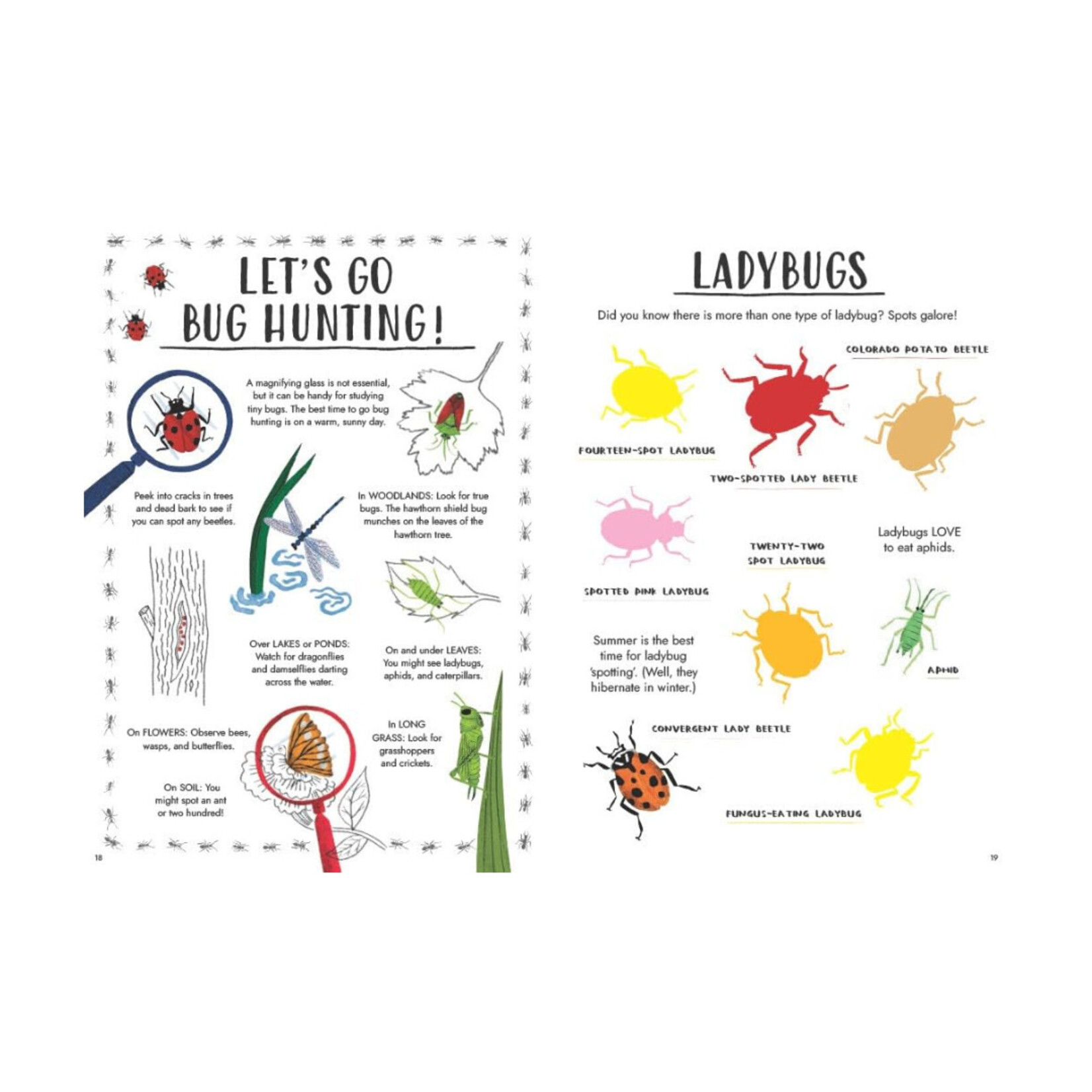 HELLO SUMMER STICKER ACTIVITY BOOK