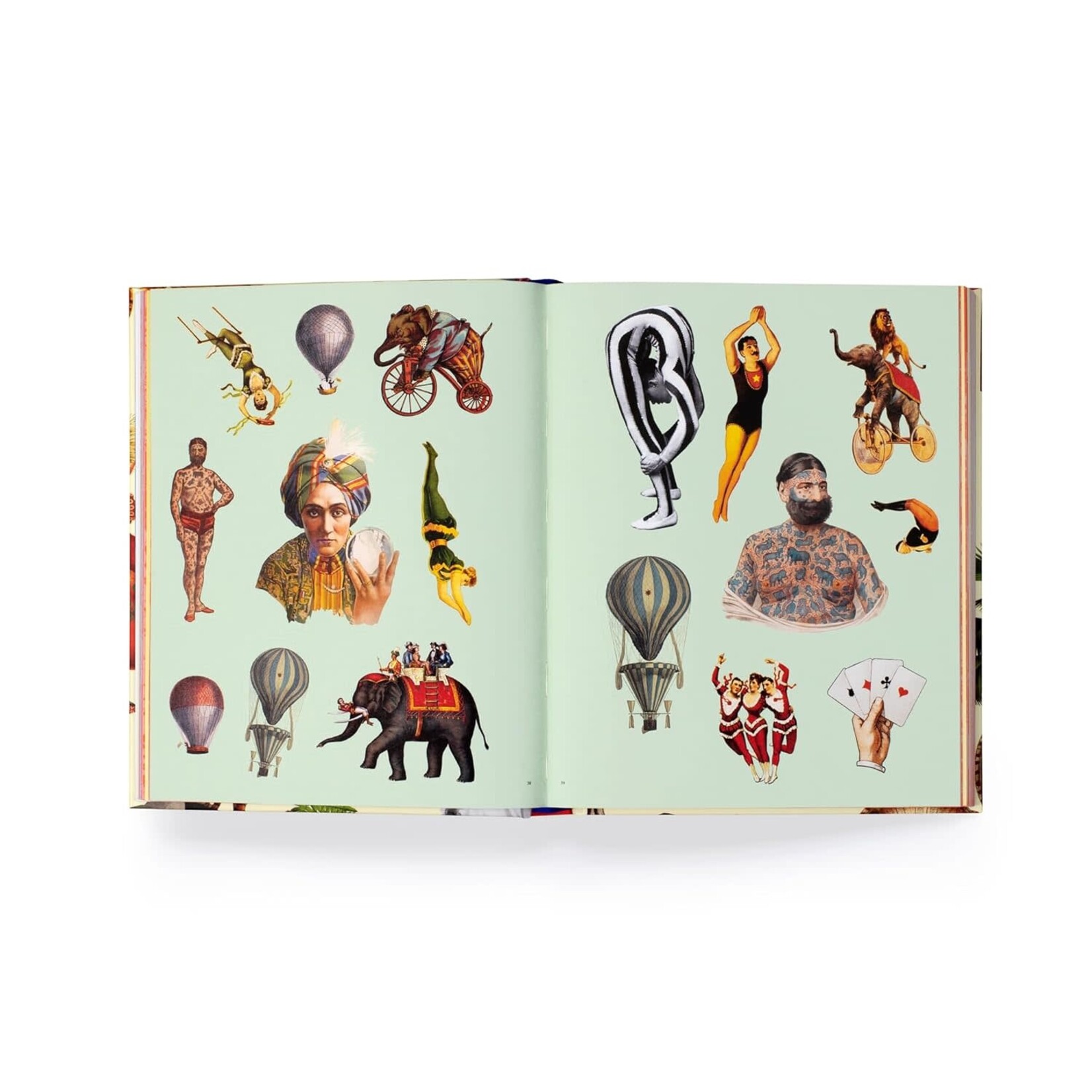 EXTRAORDINARY THINGS STICKER BOOK