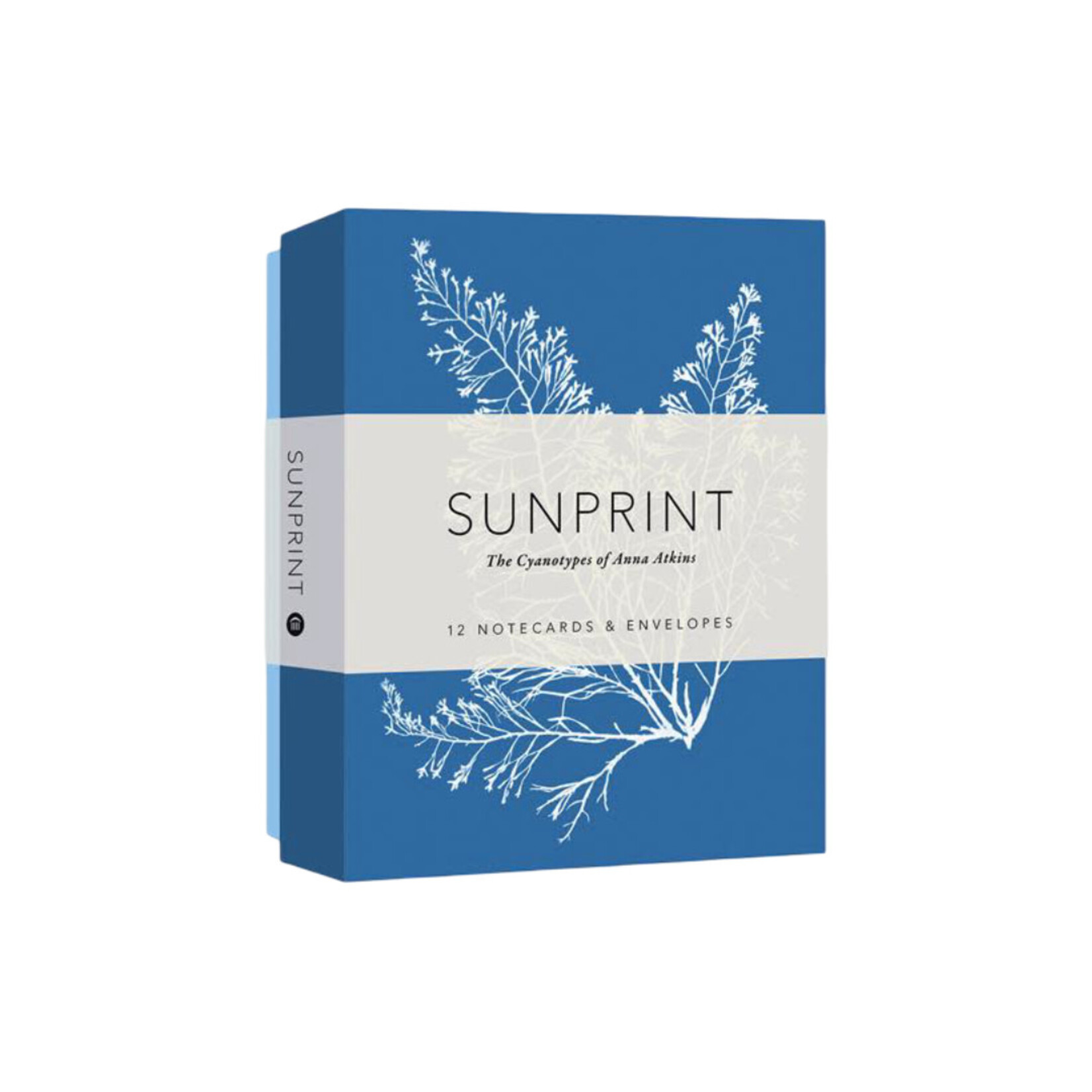 SUNPRINT NOTECARDS