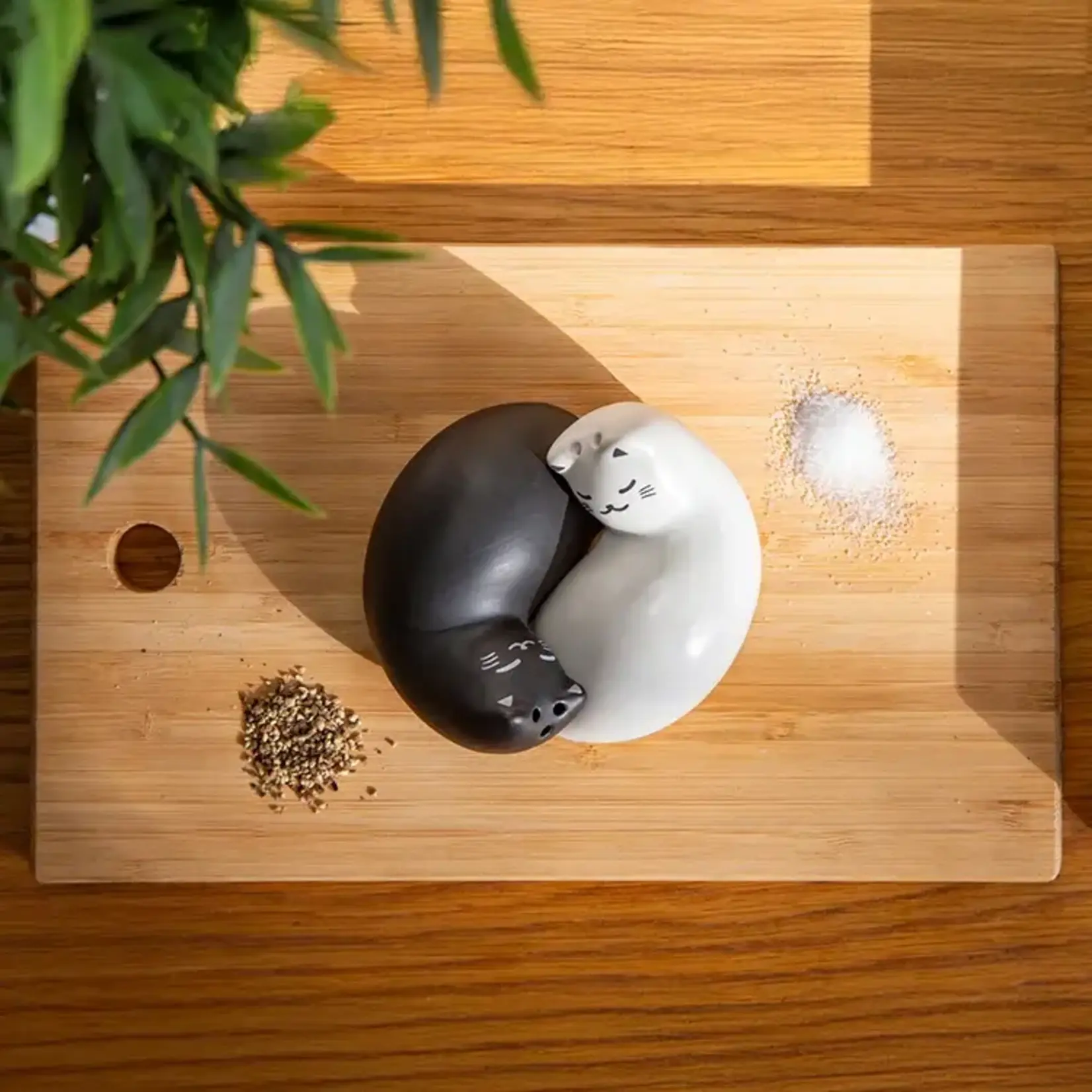 PURRFECT SALT & PEPPER SHAKERS