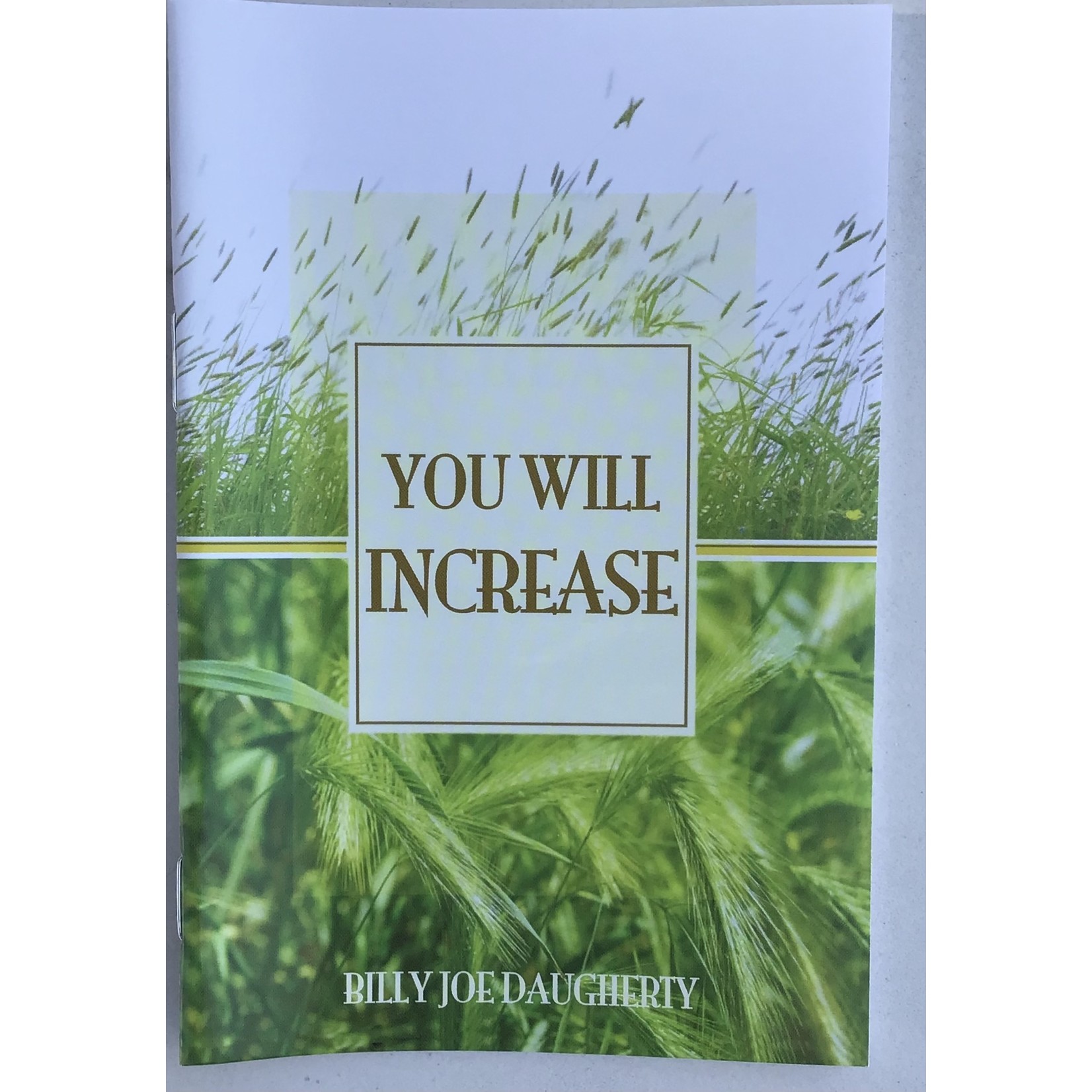 You Will Increase - Daugherty, Billy Joe