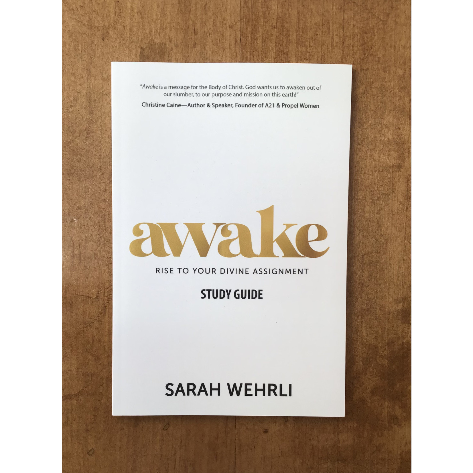 Awake Study Guide - WHERLI, SARAH