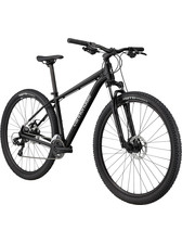 Cannondale Trail 8 Black GRY MD 29 Scat Bikes