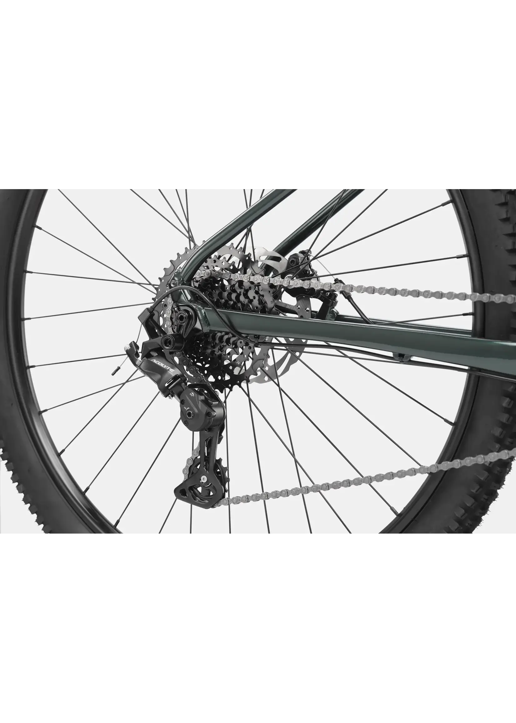 Cannondale 29 U Trail 3 GMG MD