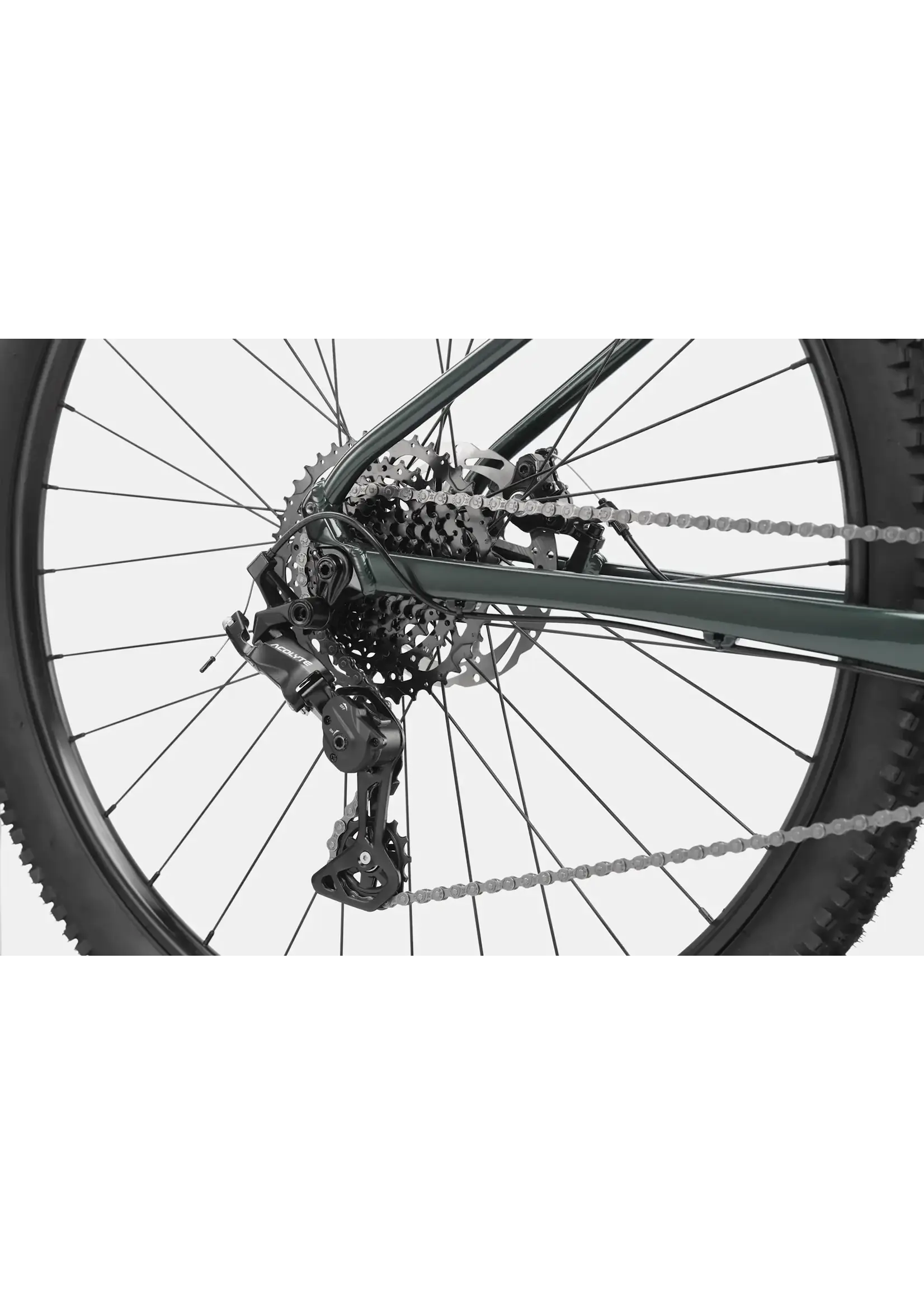 Cannondale Cannondale Trail 3, Green, Small GMG SM