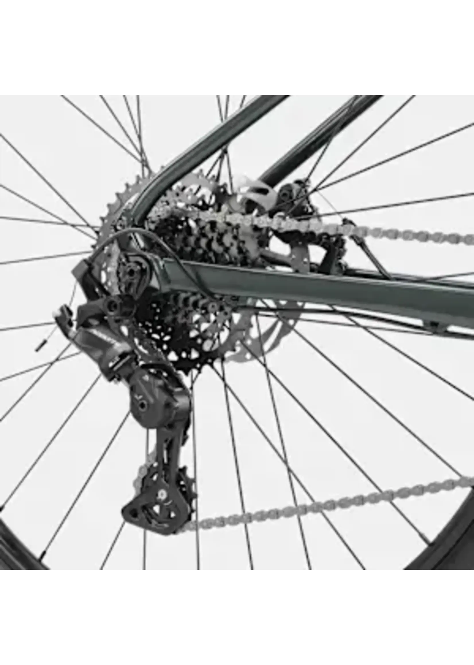 Cannondale Cannondale Trail 3, Green X-Large, GMG XL