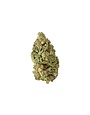 Canvast Supply Co Canvast - Hemp Flower -  Indoor Grown - 3.5 Grams - Bubba Kush