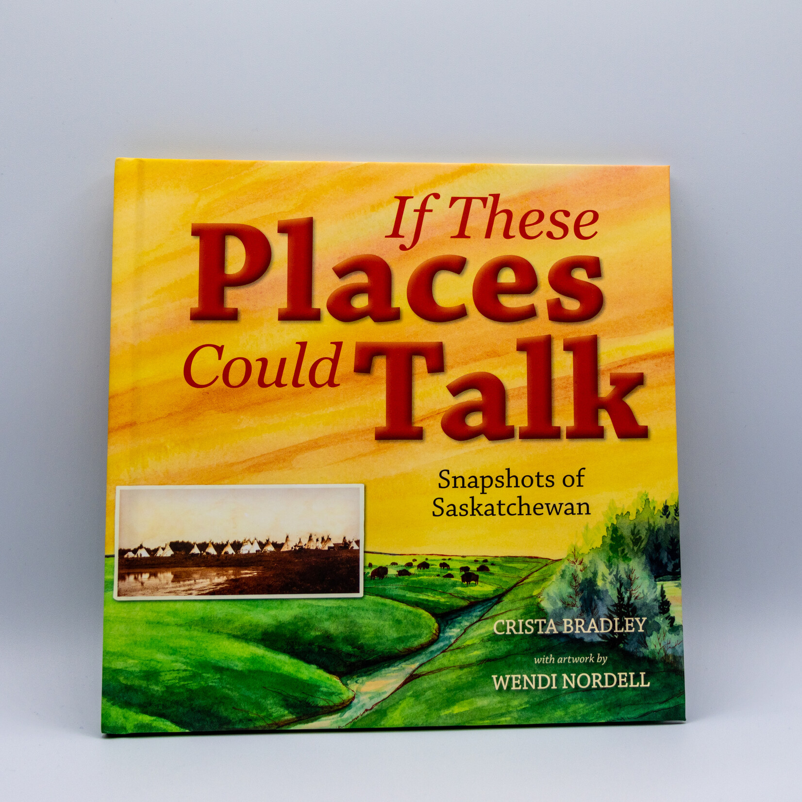 If These Places Could Talk