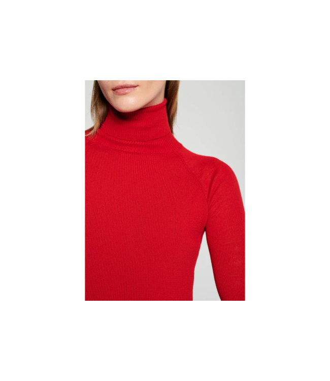 Wool Turtleneck Sweater