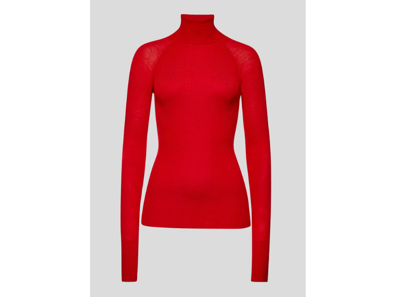 Wool Turtleneck Sweater