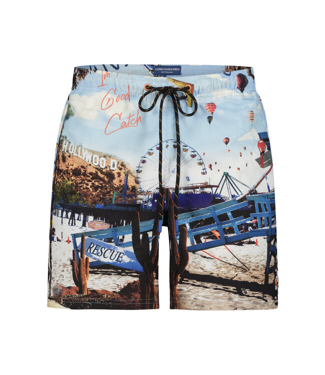 Swim Shorts with Beach Print
