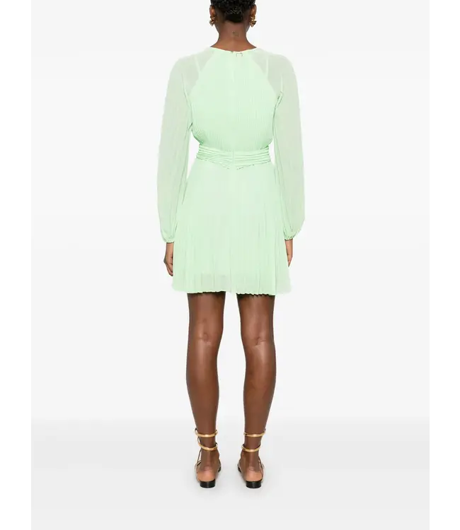 TWINSET Long pleated georgette dress