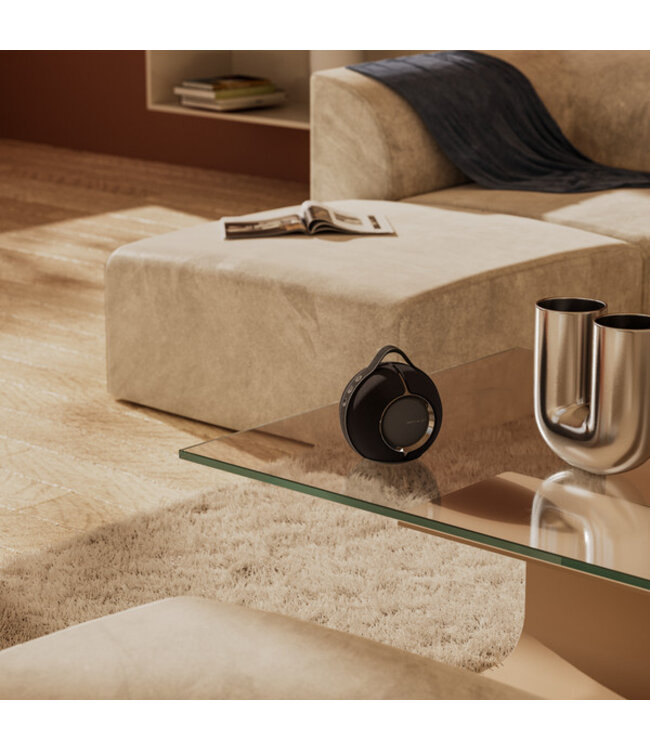 DEVIALET Devialet Mania