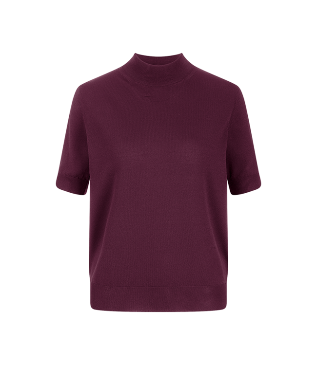 RIANI  Short Sleeve Crew Neck Pullover in Morello