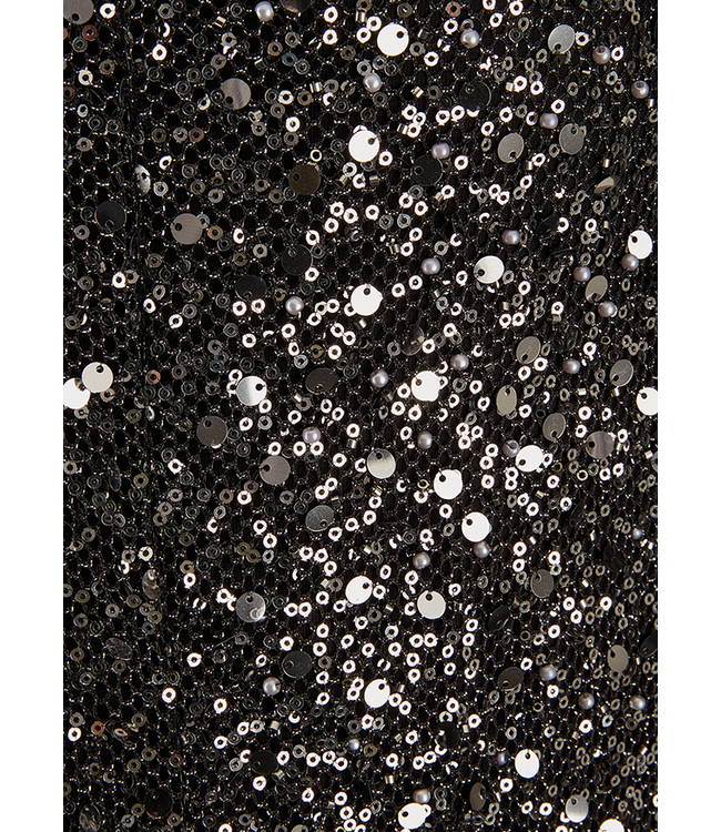 RIANI Midi Skirt with Pearl Embroidery