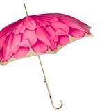 Fuchsia Dahlia Umbrella