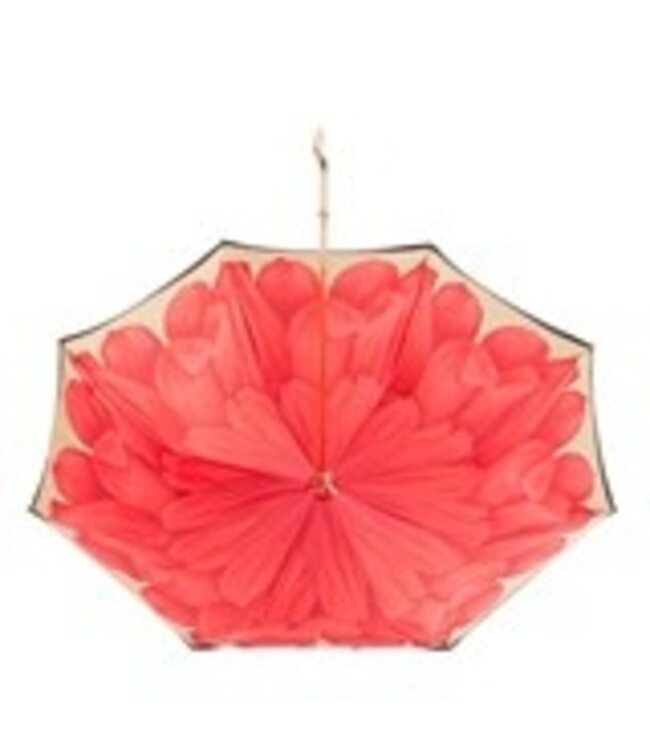 PASOTTI Umbrella with Flower Inside