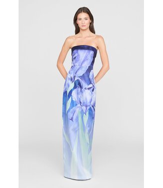 Theia Robe longue colonne sans bretelles Cyrilla