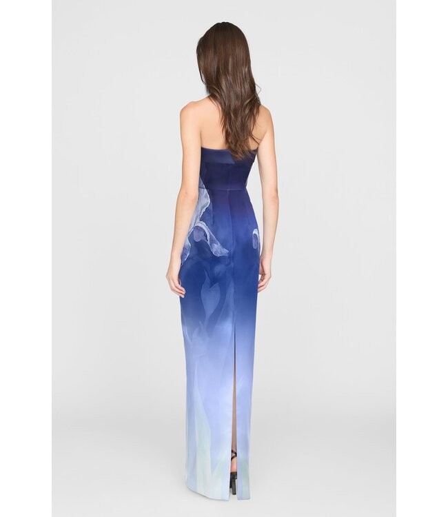 Theia Cyrilla Strapless Column Gown