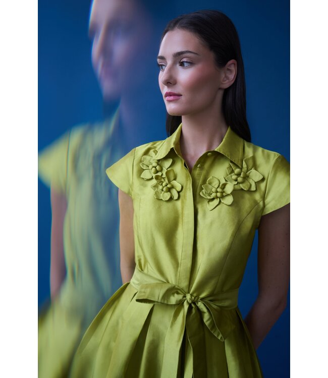 Theia Robe chemise en taffetas Vada