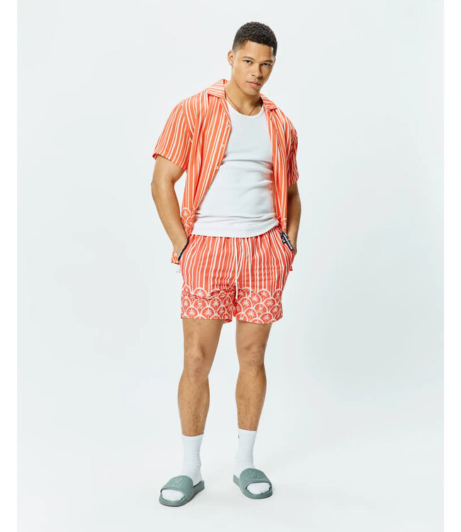 PSYCHO BUNNY Brad Swim Trunk 6