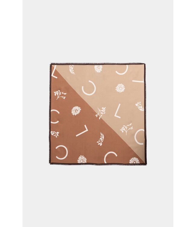LUISA CERANO Silk Scarf with Print